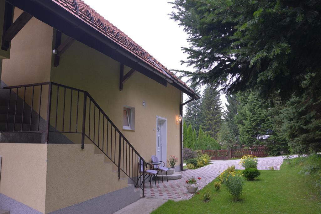 Dobrila Apartments Zlatibor Zewnętrze zdjęcie